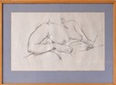 Nude Torso.  Pencil on paper             £100               